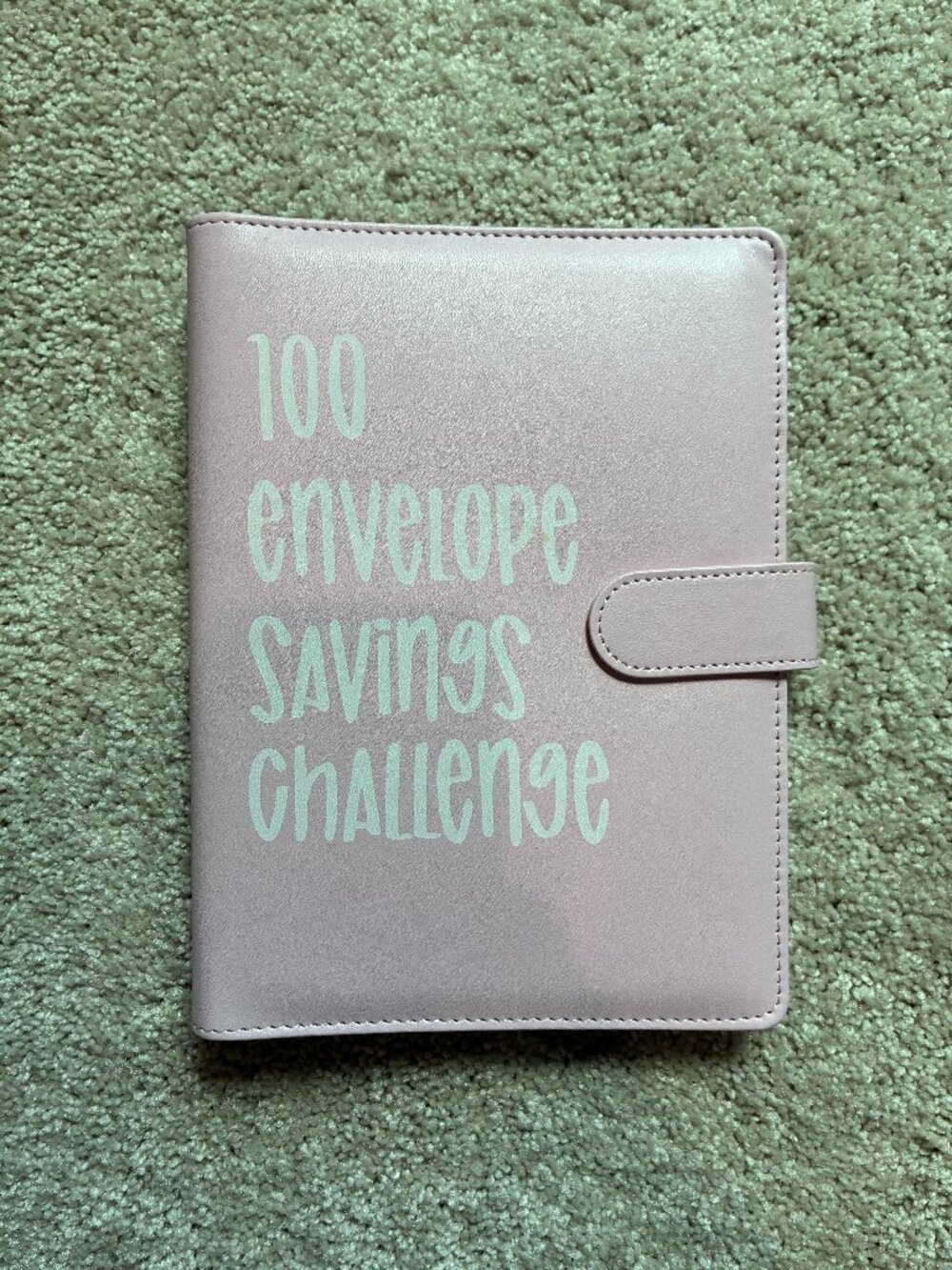 NWT 100 Envelopes Money Saving Challenge Binder Folder Planner Book PInk